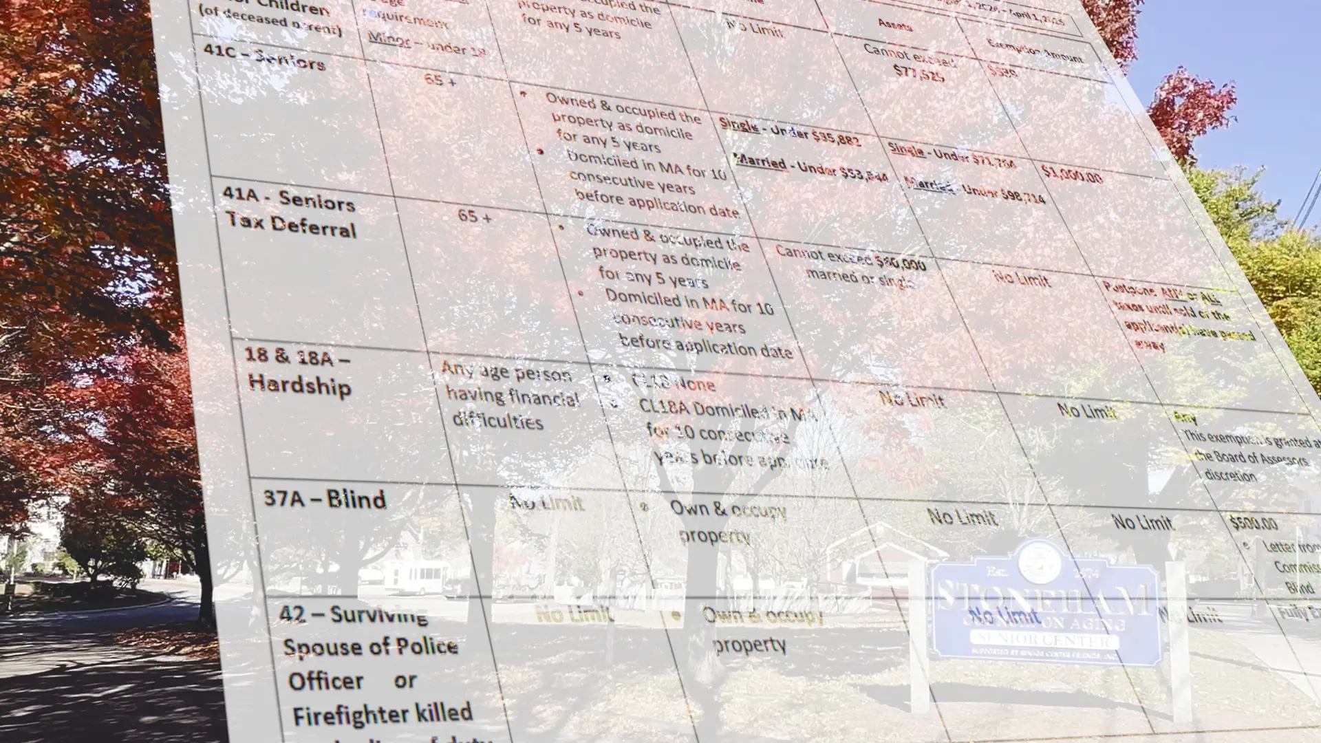 A friendly tax advisor helping a Stoneham resident understand tax exemption forms.