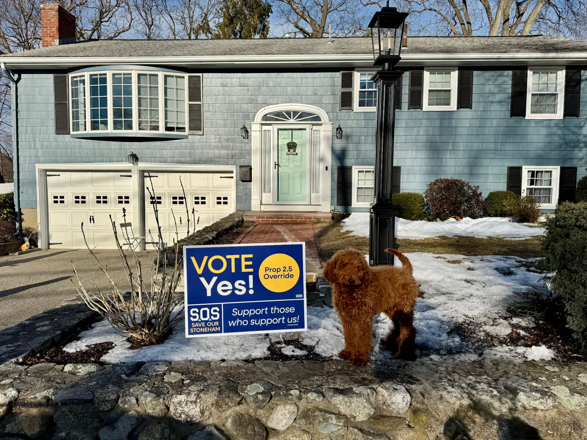 Photo of a 'Vote Yes' on the Prop 2.5 override in front of a blue house in the snow. There is also an extremely good doggy.